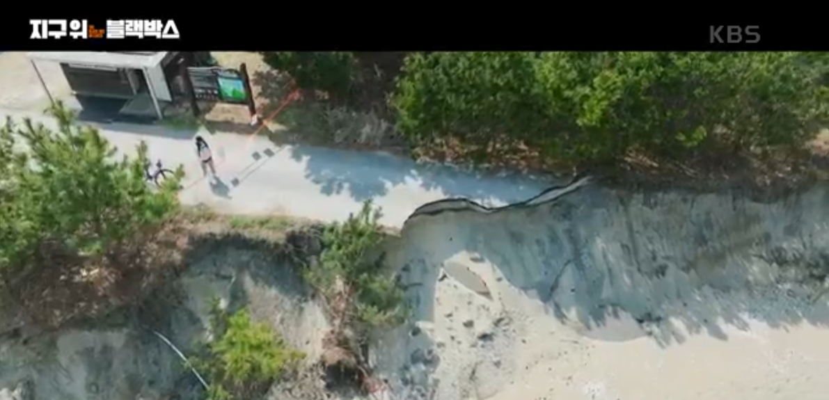 프로젝트 기획 동기가 된 방송 장면